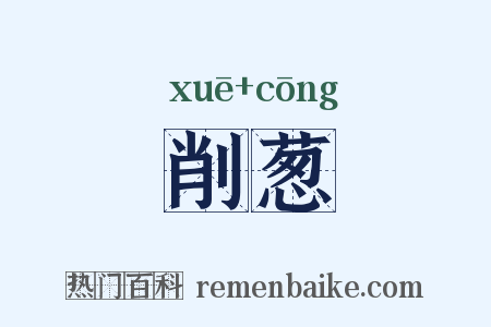 削葱是什么意思的图片